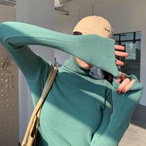 2021 autumn and winter new exploits design sensation little crowdsourced with high collar bottom sweater womens needled jersey blouses