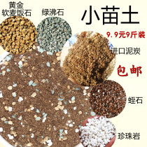 Fleshy soil nutrient soil granular soil 5kg more meat Stone succulents rainbow stone paving stone planting soil