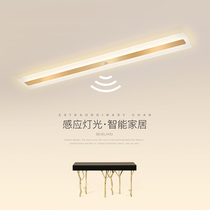 Corridor aisle lights simple modern sun table lamp long cloakroom lamp ceiling lamp porch entrance sensor light home