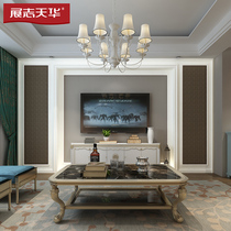 Zhanzhi Tianhua TV living room background wall custom Nordic LCD sofa decoration mural wall panel H11