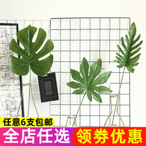 Nordic INS simulation turtle back leaf false leaves home interior decoration plant green plant false grass flower arrangement simulation fake flower
