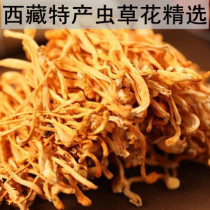 Cordyceps flower Tibetan plateau specialty cordyceps flower with spore head dry goods cordyceps pupae 500 grams of new goods