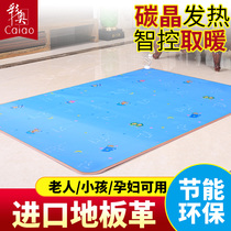 Caiao electric blanket double control carbon crystal floor heating mat mobile floor heating carbon crystal floor heating heating mat 200*250