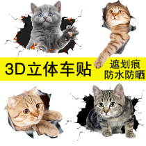 Creative personality car stickers stickers Cat block waterproof body stickers Rear scratches cover car scars stickers door