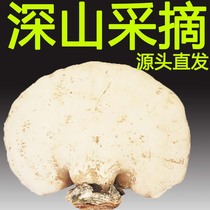 (Tmall Bao Zheng) wild wild white Ganoderma lucidum Changbai Mountain growth white Ganoderma lucidum can slice dry products