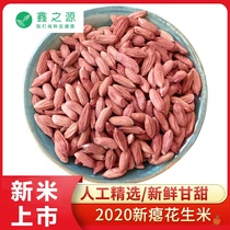 Small flat peanuts new small grains small seeds peanuts dry peanuts 5kg 10kg red skin shelled