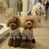 Treasure Dependents Pet Dog Clothes Spring Tedi Bibong Bear Snownery Sailor With Long Sleeve Hoodie 100 Hitch Pooch