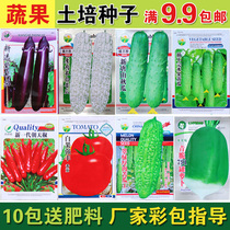 Vegetable seeds Balcony vegetable garden Earth-grown eggplant green onion green radish sweet pepper Autumn melon Snake bean horn pepper Mustard melon
