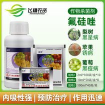 Great Guangming Gaozhao Fluorsilazole Plant Rose Black Pox Disease Black Spot Disease Black Disease Pesticide Fungicide