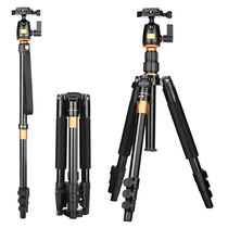 Light-mounted era Q555 SLR camera tripod Canon micro single portable travel photography tripod holder pan-tilt