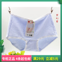 Daisy girl 25102 mid-waist organic cotton breathable fresh stripe lace edge small fresh womens briefs