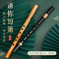 Zero Foundation entry hole portable bitter bamboo Senior short Xiao Mini small flute ancient style six F tune beginner Xiao instrument