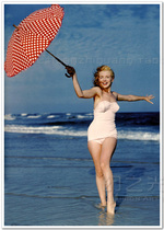 Marilyn Monroe decorative painting movie poster star Hollywood classic stills portrait printing
