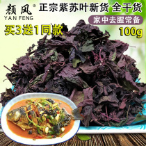 Yan Feng perilla leaves dry fresh Su leaves roast fish and shrimp to remove fishy edible Chinese herbal medicine can make tea 100g