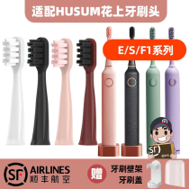 Suitable for HUSUM E1 F1 E2 E3 E8 F4 S1 S5 replacement with flower electric toothbrush head