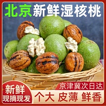 2022 fresh walnuts to green skin green skin fresh walnuts wet walnuts thin skin fresh tender pregnant women paper skin raw walnuts in stock
