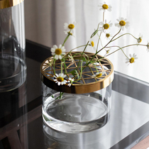 Southern Cross Living Room Transparent Glass Vase Ornament Nordic Flower Filler Hydroponic Flower Illustration Fixture Spaces