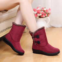 Winter plus velvet thickened warm cotton shoes female middle-aged and elderly people slope heel leisure snow boots waterproof large size mother