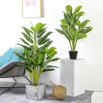 Simulation fortune tree decorative plant indoor fake potted living room flower large floor tree green plant plastic non-living bonsai