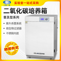 Shanghai Yiheng BPN-CH CW popular version microbial cell culture CO2 incubator CO2 incubator