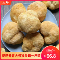 Fujian Gutian large Hericium erinaceus mushroom slice soup material nourishing stomach powder Hericium erinaceus powder mushroom 500g fresh dry goods