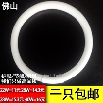  Foshan lighting ring tube 22W28W32W40W ring tube Foshan circular lighting ring T5 tube