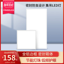 Famous official flagship store integrated ceiling led flat lamp kitchen toilet recessed 300*600 aluminum buckle surface