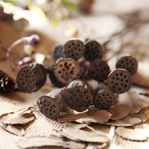 Lotus flower indoors to put flowers DIY handmade flower arrangements to put flowers small lotus and fluffy head emulation flower decoration flowers