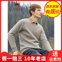 Camel Camel pullover sweater round neck straight men mens Korean Youth Mens long sleeve knitwear D9H256302