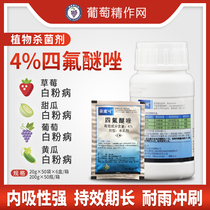  Italy Yisegduo Michael tetrafluoroetherazole Grape cucumber powdery mildew pesticide fungicide 20g-200g