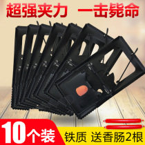 Mouse caught mouse cage catch rat potent iron home to catch cage rat cage cage catch mouse clip