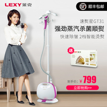Lake speed hot star GT31 small hand-held hanging vertical high-power steam ironing hanging ironing machine