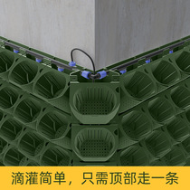 Vertical greenery corner flower pot garden solid planting case free of steel structure indoor and outdoor real plant wall planting container