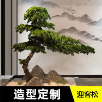 Welcome Pine Fake Tree Simulation Pine Beauty Pine Bonsai Podocran Pine Landscape Ornaments New Chinese Porch Landscape Decoration