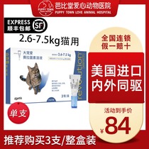 Great Favorites in vitro Insect Repellent Cat inside and outside One cat flea lice ear mites Cat Insect Repellent for Insect Repellent Big love Insect Repellent