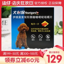 Insecticide in the body small dogs 6 tablets a box of dogs driving teddy dogs puppies dogs dogs canines