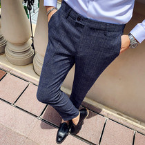 Spring New Plaid casual pants men slim small West pants men Korean trend small feet suit pants business