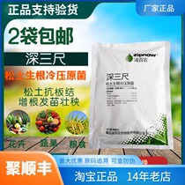 Qingdao Zibai Nong-deep three-foot loose soil rooting cold pressogenic bacteria 500 grams of microbial fertilizer pine soil essence