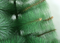 Christmas tree 2 4m 2 4m pine needle Christmas tree Christmas light tree Christmas supplies