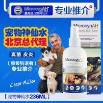American Microcyn McGaochen Pet Dog Cats and Dogs with Immortal Water Fungi 236ml