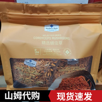 Sam Member Premium MembersMark Select Cordyceps militaris 250g Cordyceps militaris