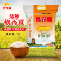 Golden Dragon Fish Tsuzun Soft Fragrant Rice 5KG Home Bagged Rice 10 Catty Of South Rice Welfare Group Purchase Wholesale Gift