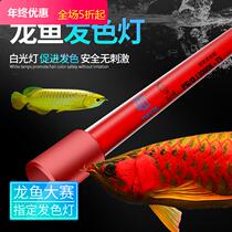 Mayin hair color lamp dragon fish hair color special three-color fish tank lamp aquarium fish tank lamp led lamp waterproof color enhancement