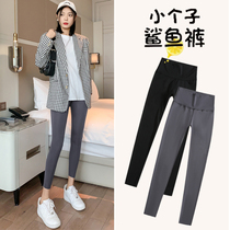 South Korean shark skin pant underpants woman outside wearing gush 2021 new high waist elastic tight fit small sub 80% pants