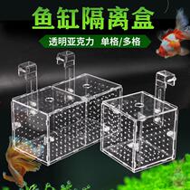 Isolation Case Fish Tank Aquarium Water Family Small Fry Hatching Breeding Box Transparent Acrylic Single Double Doge Hot Sell