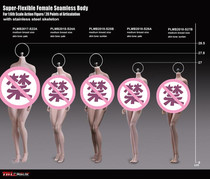 TBLeague 1 6 S24A S25B S26A S27B small size headless reinforced female body spot