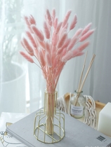 Pink Rabbit Tail Grass Full of Star Dried Flowers Real Flowers Air-dried Natural Living Room Furnishing Branches Ins home Plant flowers