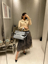 European Dior Dio womens bag Hand bag shopping bag small TOTE M1296ZRPI_M081