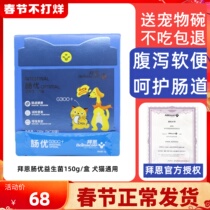 Byrne intestinal excellent probiotics conditioning stomach cats and dogs general diarrhea constipation vomiting intestinal pet indigestion