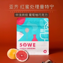 Aceh Aech Red Honey Treatment Mantin Citrus Grapefruit Berry Fine Coffee Bean Grind Powder